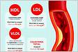Colesterol ruim LDL o que é e como saber se está alt